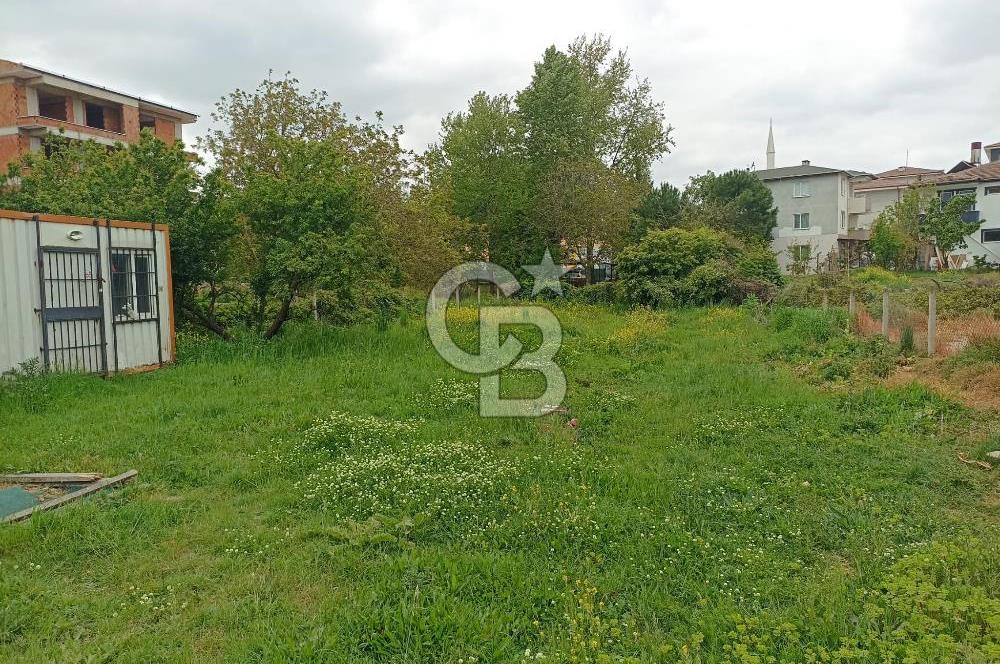 ÇİFTLİKKÖY SULTANİYE'DE 695 M.KARE 4 KAT İMARL ACİL SATILIK ARSA