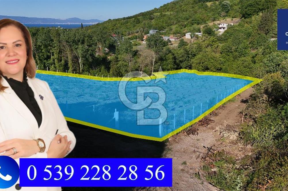 Yalova Altınova da İmar Sınırına yakın Satılık Arsa
