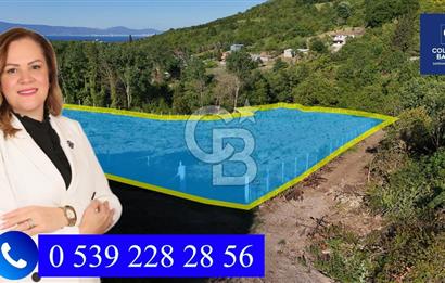 Yalova Altınova da İmar Sınırına yakın Satılık Arsa