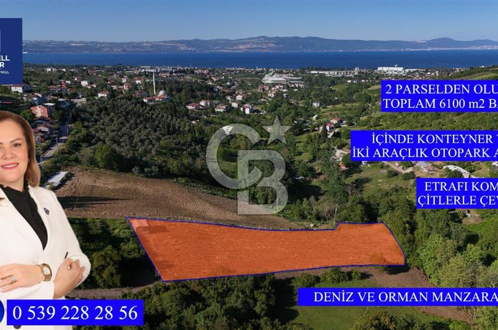 Yalova Altınova da İmar Sınırına yakın Satılık Arsa