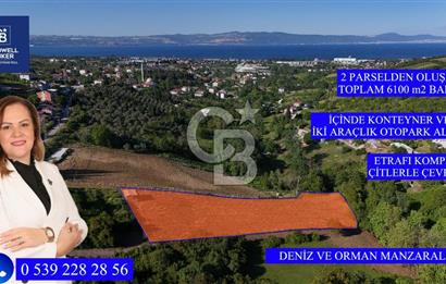 Yalova Altınova da İmar Sınırına yakın Satılık Arsa