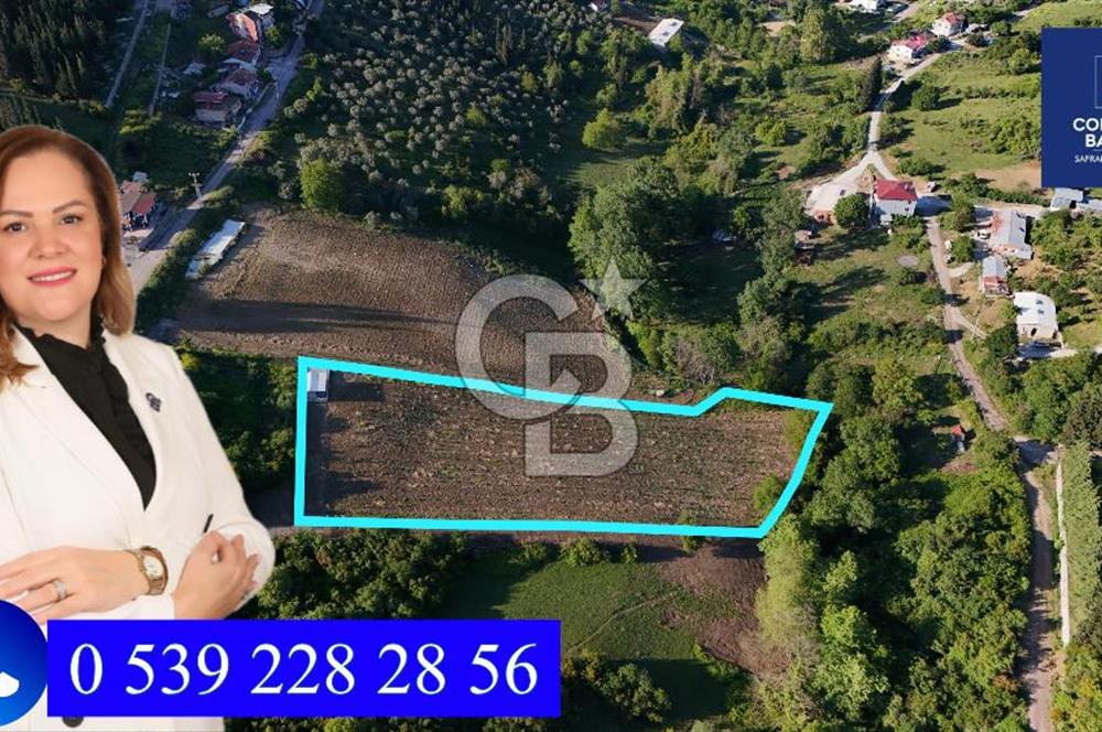 Yalova Altınova da İmar Sınırına yakın Satılık Arsa