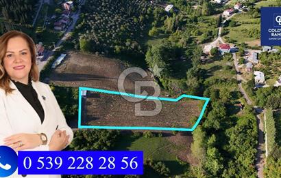 Yalova Altınova da İmar Sınırına yakın Satılık Arsa