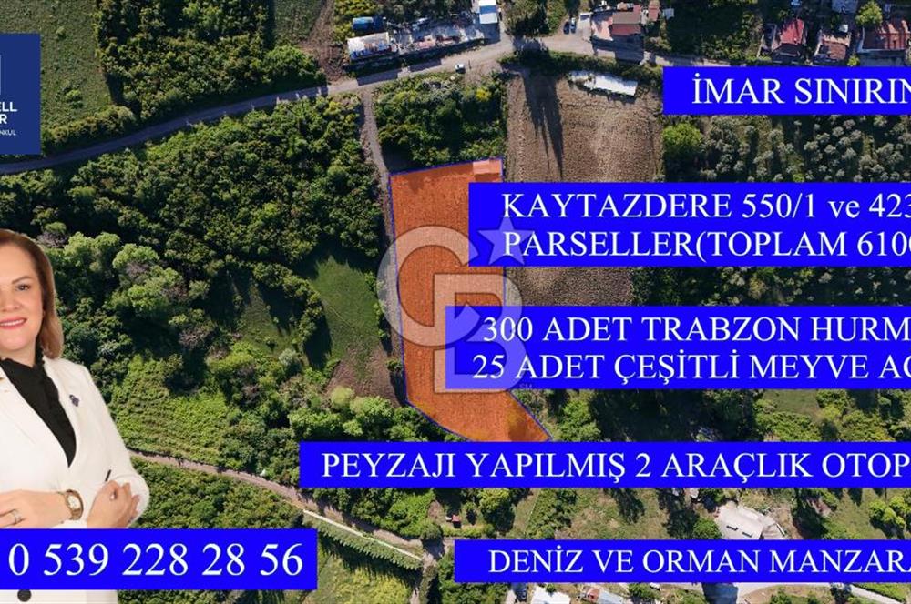 Yalova Altınova da İmar Sınırına yakın Satılık Arsa