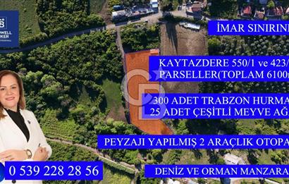 Yalova Altınova da İmar Sınırına yakın Satılık Arsa
