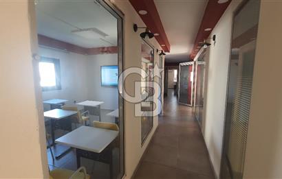 Ana Cadde Üzerinde Kurumsal Kiracılı Ticari İskanlı Ofis