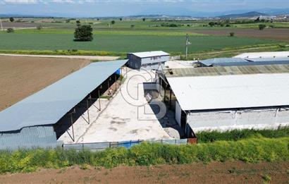 KARACABEY MURATLI MAHALLESİ SATILIK ÇİFTLİK