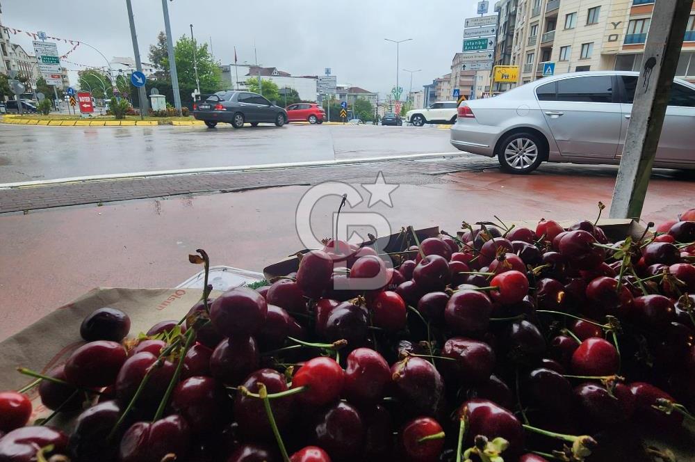 Devren Satılık Market