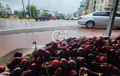 Devren Satılık Market