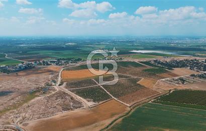 Yüreğir İnnaplı (Yukarıçiçekli) Yüksek Verimli Narenciye Bahçesi