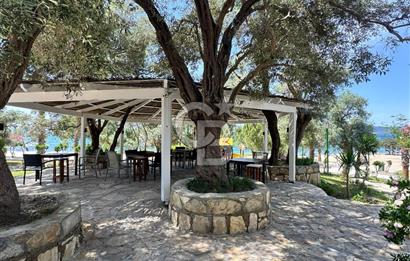 BODRUM - MİLAS - GÜLLÜK YASEMİN SİTESİ 3+1 VİLLA