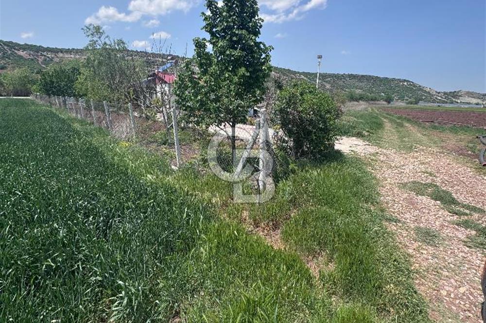 CB CITY'DEN SARISUNGUR'DA 1.785M² SATILIK TARLA