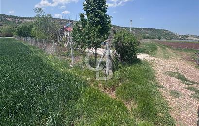 CB CITY'DEN SARISUNGUR'DA 1.785M² SATILIK TARLA