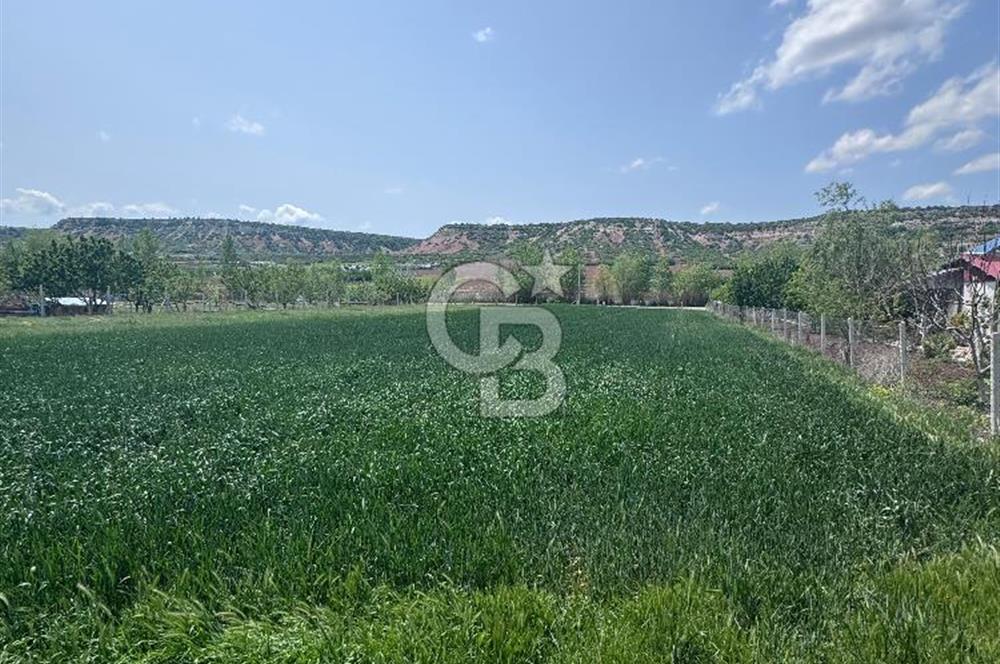 CB CITY'DEN SARISUNGUR'DA 1.785M² SATILIK TARLA