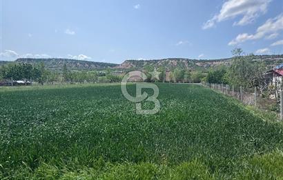 CB CITY'DEN SARISUNGUR'DA 1.785M² SATILIK TARLA