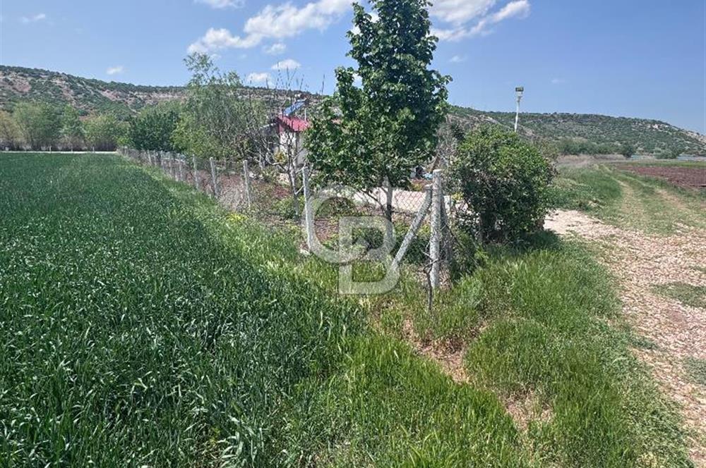CB CITY'DEN SARISUNGUR'DA 1.785M² SATILIK TARLA