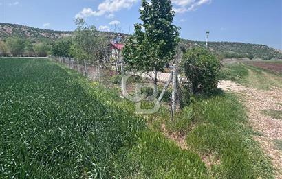 CB CITY'DEN SARISUNGUR'DA 1.785M² SATILIK TARLA
