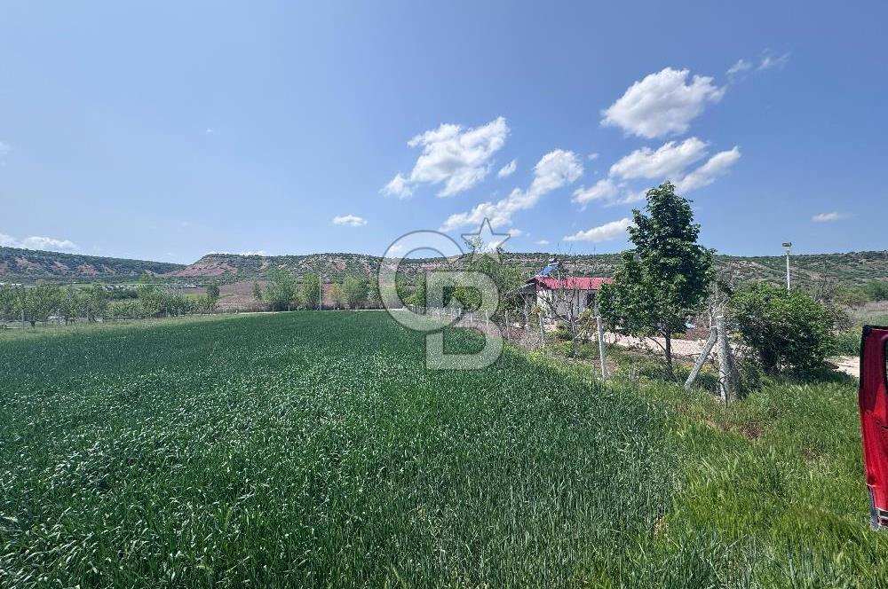 CB CITY'DEN SARISUNGUR'DA 1.785M² SATILIK TARLA
