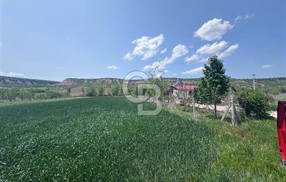 CB CITY'DEN SARISUNGUR'DA 1.785M² SATILIK TARLA
