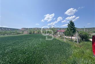 CB CITY'DEN SARISUNGUR'DA 1.785M² SATILIK TARLA
