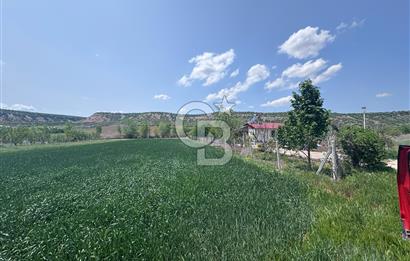 CB CITY'DEN SARISUNGUR'DA 1.785M² SATILIK TARLA