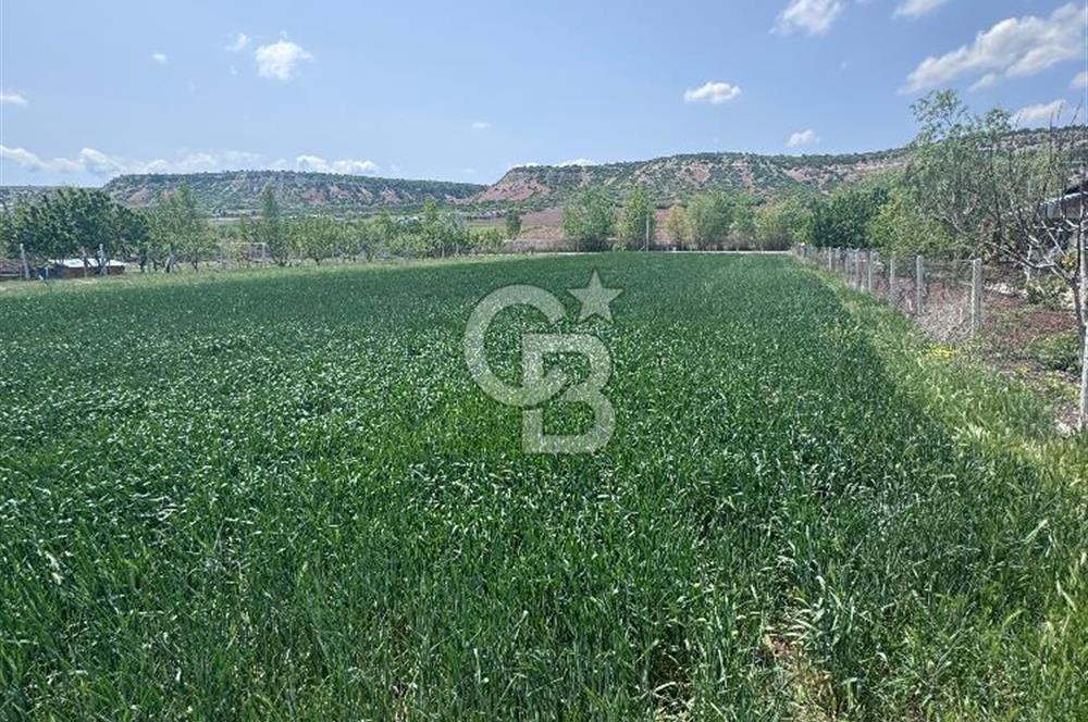 CB CITY'DEN SARISUNGUR'DA 1.785M² SATILIK TARLA