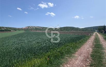 CB CITY'DEN SARISUNGUR'DA 1.785M² SATILIK TARLA