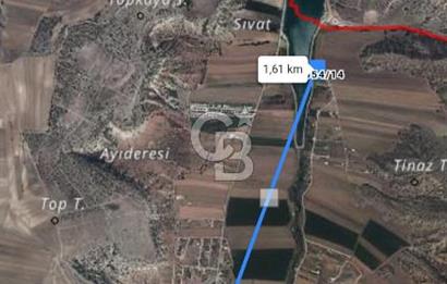 CB CITY'DEN SARISUNGUR'DA 1.785M² SATILIK TARLA