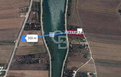 CB CITY'DEN SARISUNGUR'DA 1.785M² SATILIK TARLA