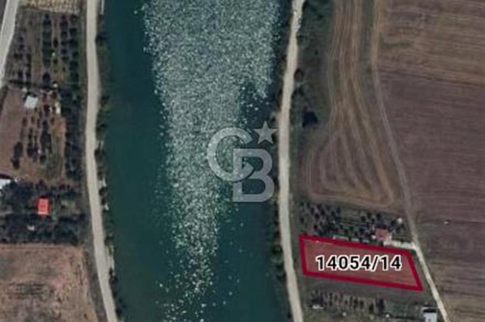CB CITY'DEN SARISUNGUR'DA 1.785M² SATILIK TARLA