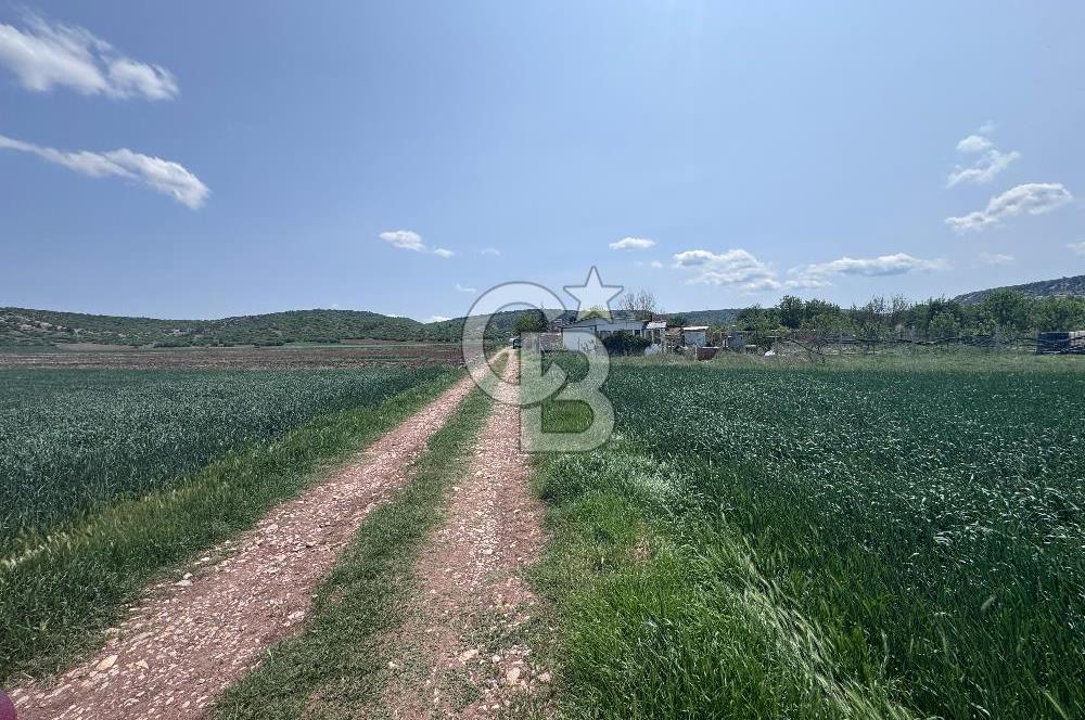 CB CITY'DEN SARISUNGURDA SATILIK 17.552M² TARLA