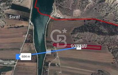 CB CITY'DEN SARISUNGURDA SATILIK 17.552M² TARLA