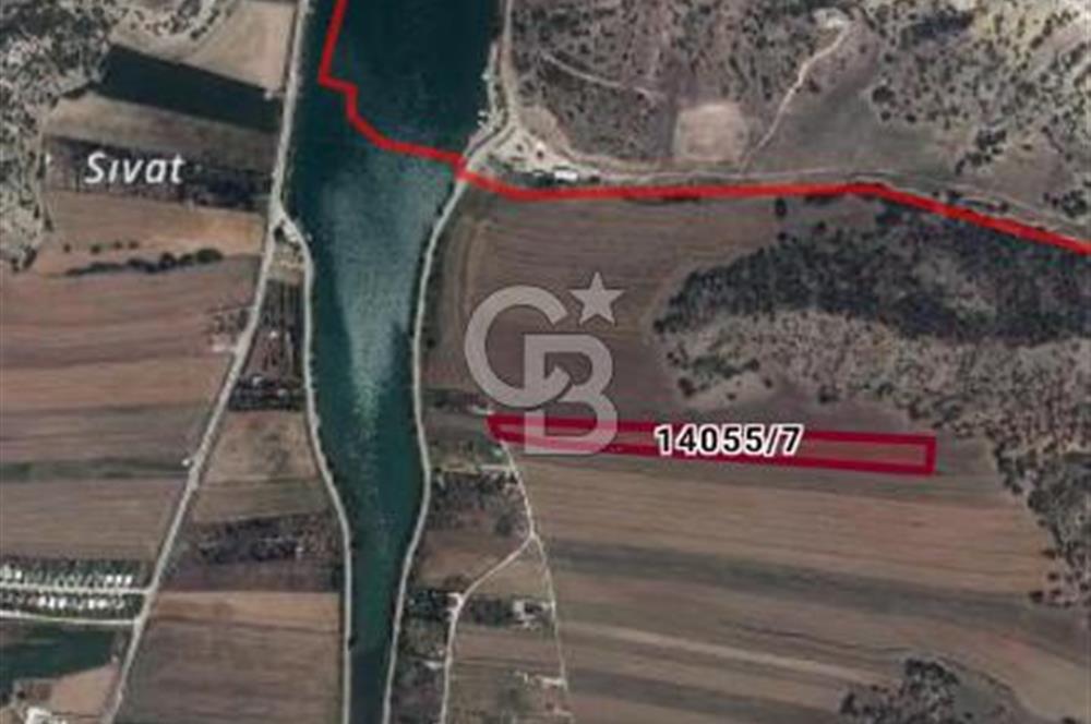 CB CITY'DEN SARISUNGURDA SATILIK 17.552M² TARLA