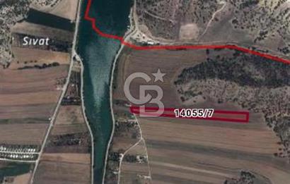 CB CITY'DEN SARISUNGURDA SATILIK 17.552M² TARLA