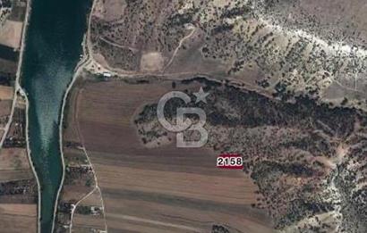 CB CITY'DEN SARISUNGUR DA SATILIK TARLA