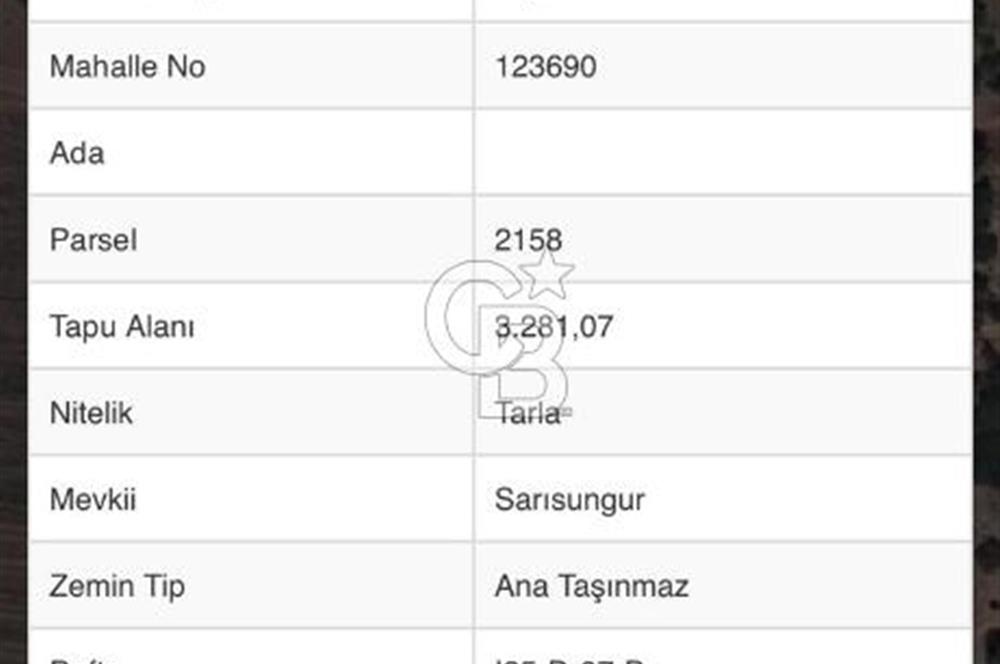 CB CITY'DEN SARISUNGUR DA SATILIK TARLA