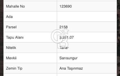 CB CITY'DEN SARISUNGUR DA SATILIK TARLA