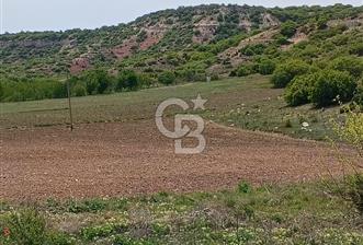 CB CITY'DEN SARISUNGUR'DA 8.183M² SATILIK TARLA