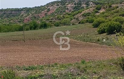 CB CITY'DEN SARISUNGUR'DA 8.183M² SATILIK TARLA