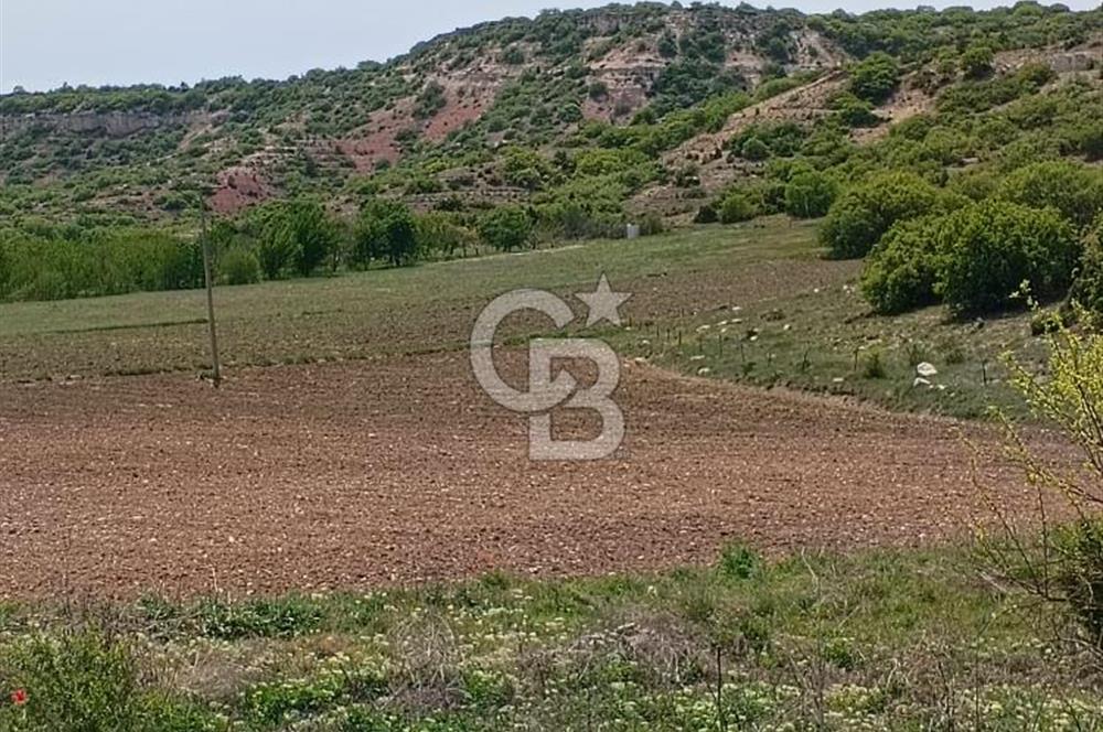 CB CITY'DEN SARISUNGUR'DA 8.183M² SATILIK TARLA