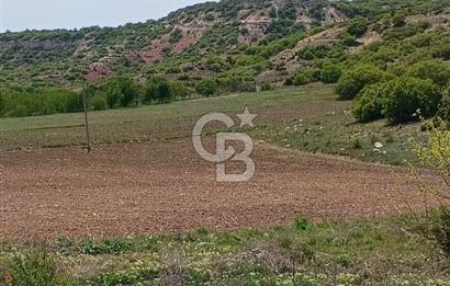 CB CITY'DEN SARISUNGUR'DA 8.183M² SATILIK TARLA