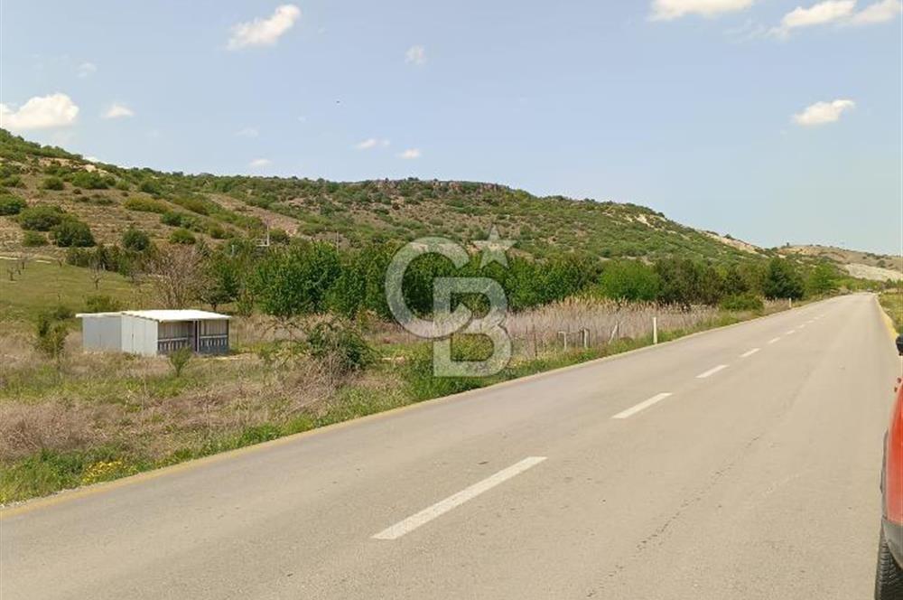 CB CITY'DEN SARISUNGUR'DA 8.183M² SATILIK TARLA