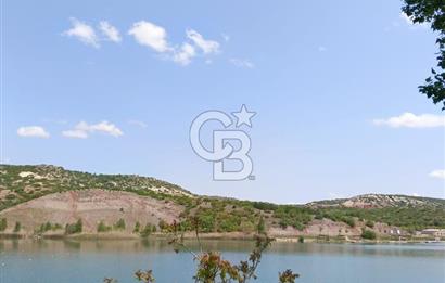 CB CITY'DEN SARISUNGUR'DA 8.183M² SATILIK TARLA