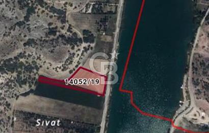 CB CITY'DEN SARISUNGUR'DA 8.183M² SATILIK TARLA