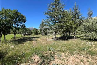 Denizli Yazır Mahallesinde İmara Yakın 5.594 m² Satılık Tarla