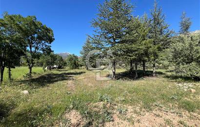 Denizli Yazır Mahallesinde İmara Yakın 5.594 m² Satılık Tarla