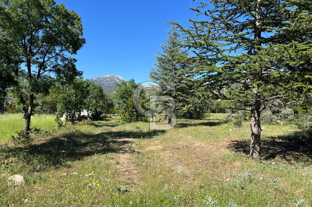 Denizli Yazır Mahallesinde İmara Yakın 5.594 m² Satılık Tarla