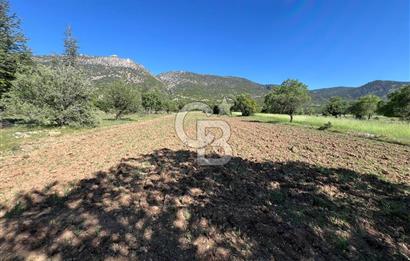Denizli Yazır Mahallesinde İmara Yakın 5.594 m² Satılık Tarla