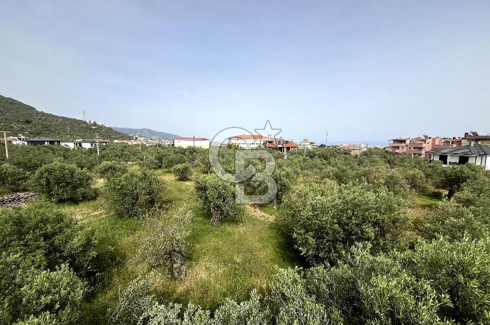 ÇANAKKALE KÜÇÜKKUYU MIHLIDA 300 M2 ARSA İÇERİSİNDE MÜSTAKİL EV