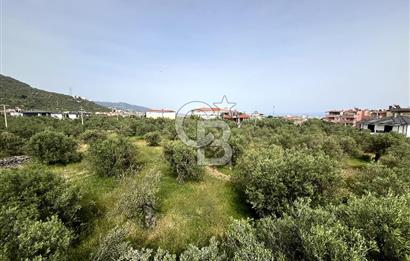 ÇANAKKALE KÜÇÜKKUYU MIHLIDA 300 M2 ARSA İÇERİSİNDE MÜSTAKİL EV